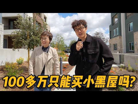 100多万在尔湾只能买小黑屋吗？